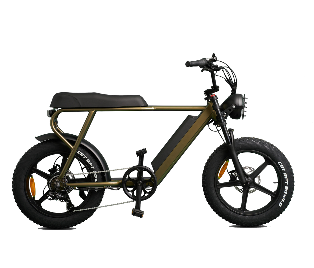 Batería Bicicleta Eléctrica 48V 12,5Ah E-Bike Li-Ion Silverfish + Cargador